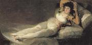 Francisco de goya y Lucientes The Maja Clothed oil painting on canvas